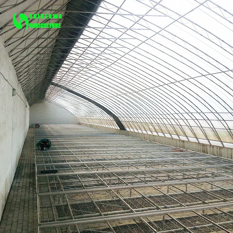 Film large span solar energy saving passive tomato greenhouse with soilless culture