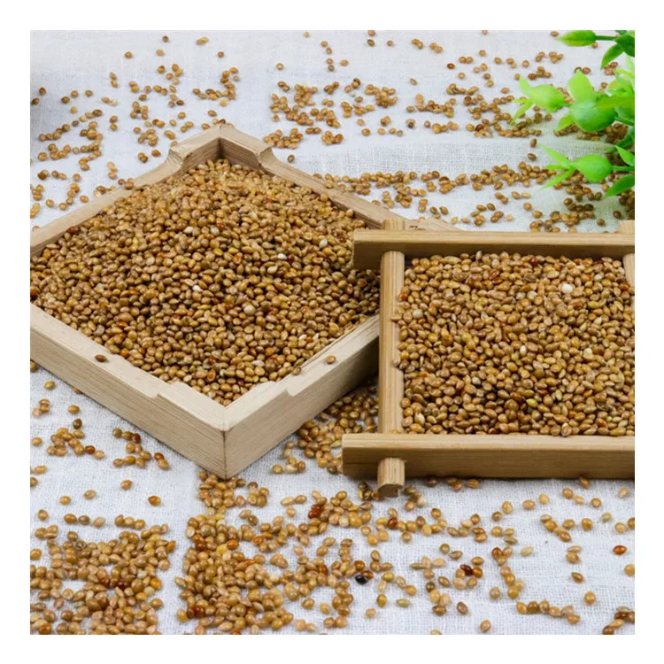 
2021 New Crop Yellow Broomcorn Millet Bird Seed Food 