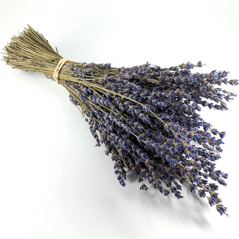 
2021 Factory Price Dried Lavender for wedding and DIY Decoration 