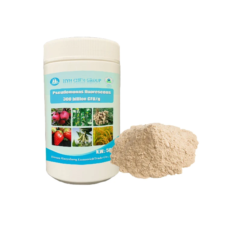 Biofertilizers Pseudomonas fluorescens Applications in Agriculture and Horticulture