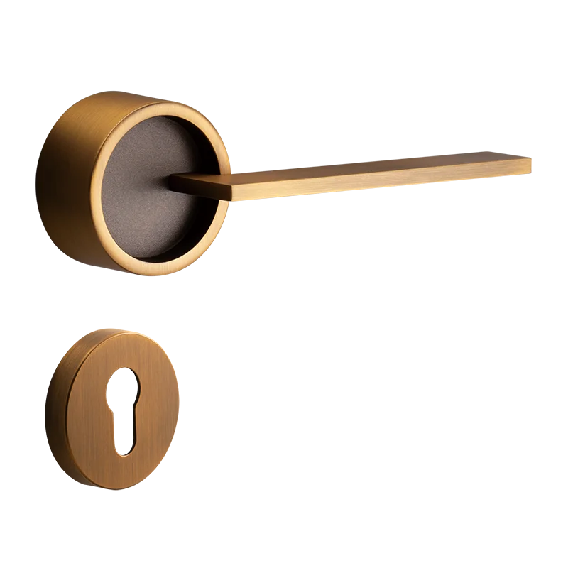 Modern Interior Zinc Alloy Door Lock Lever Handle New Style Wooden Handle for Hotel Bathrooms Steel Material