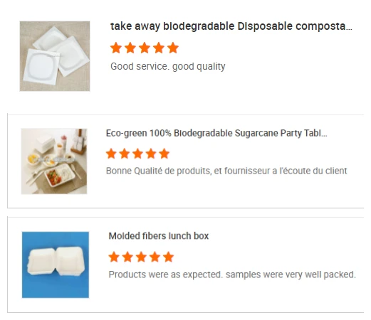 Good Quality Biodegradable Food Trays  Bagasse Disposable Supermarket Fruit Tray Paper