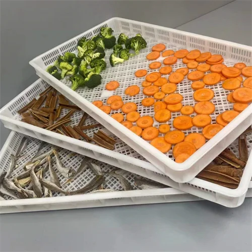 Hot selling Ventilated Stacking Storage IQF plastic Berry tray for blueberry raspberries harvesting