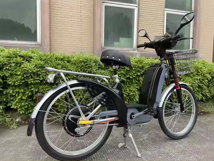 Cheap Electric Bike 48V 12Ah Electric Bicycle 350W Cargo Bike Cheap Bicicleta Electrica For Adults