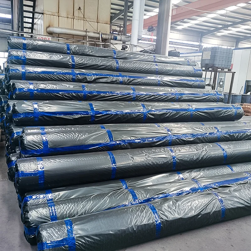 geobelt Steel-plastic geogrid High Strength basalt Polyester Geogrid PVC Coated for Soil Reinforcement  Foundation Stabilization