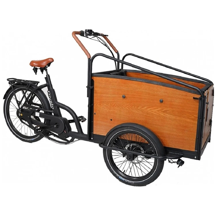 2022 Customized Cargo Electr Bike 3 Wheels Elektrische Bakfiets Carrying Kids Family Pedal Adult Cargo Bike