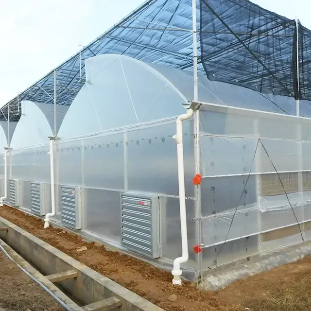CHOYUEH Agricultural Serrated Greenhouses  For  Plant Growing Cheap Plastic Ventilation