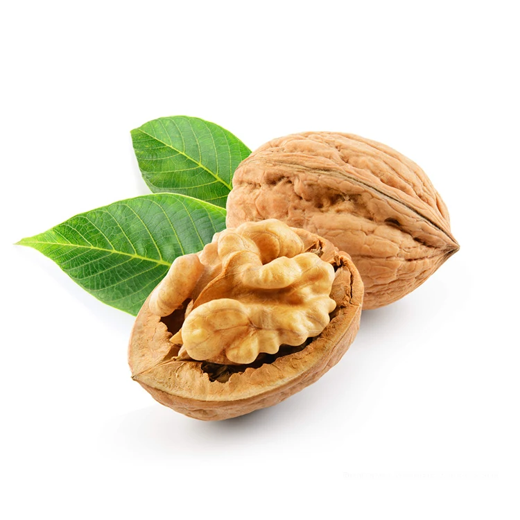 
Золотые грецкие орехи в скорлупе/грецкие орехи в скорлупе 