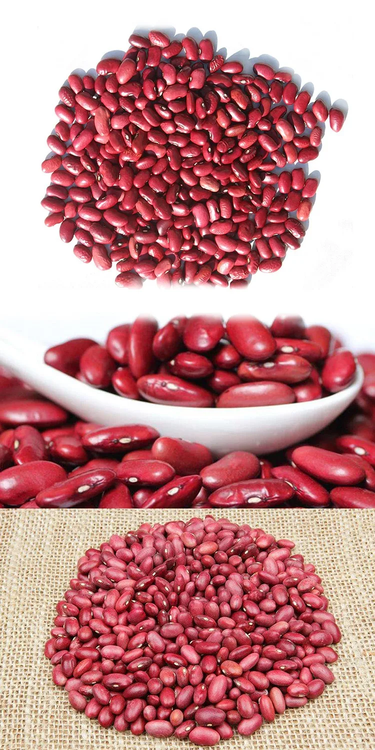 
High Quality and Best Selling Red Kidney Beans 