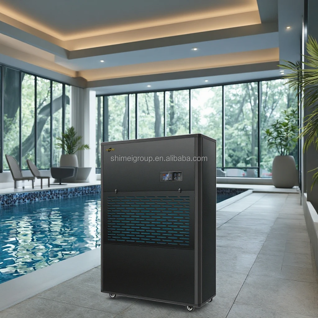 Smart Air Swimming Pool Dehumidifier with Large Capacity