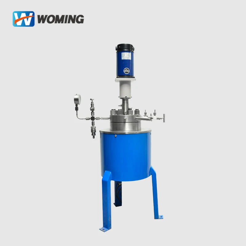 Woming Industrial Vertical Autoclave High Pressure Stirred Autoclave CJF-3