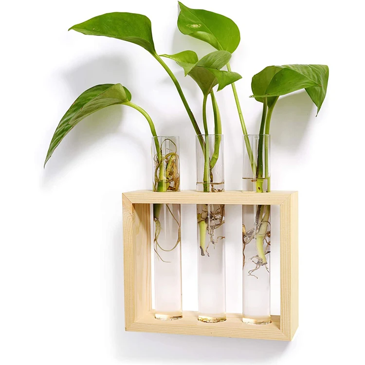 Настенный стеклянный плантатор для растений Террариум Современная ваза цветочных бутонов в деревянной подставке