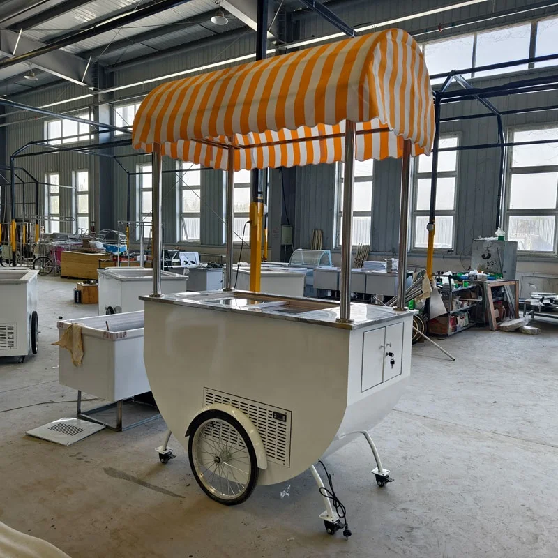 Gelato Ice Cream Truck Electric Bike Fashionable Hand Carts for Selling Fruit Juice on The Street Food Machine Restaurant 6 Pots