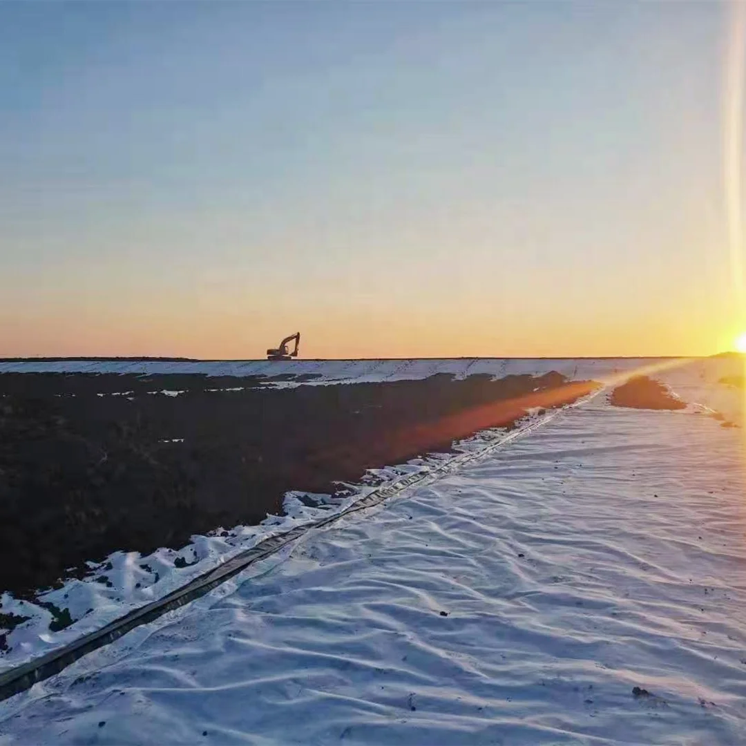 200g 300g m2 Drainage Reinforcement PP Non Woven Geotextile Fabric Manufacturer