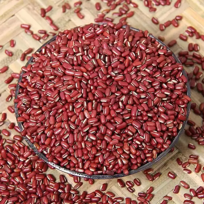China Manufacture hot sale red beans crop dark red kidney beans quality beans