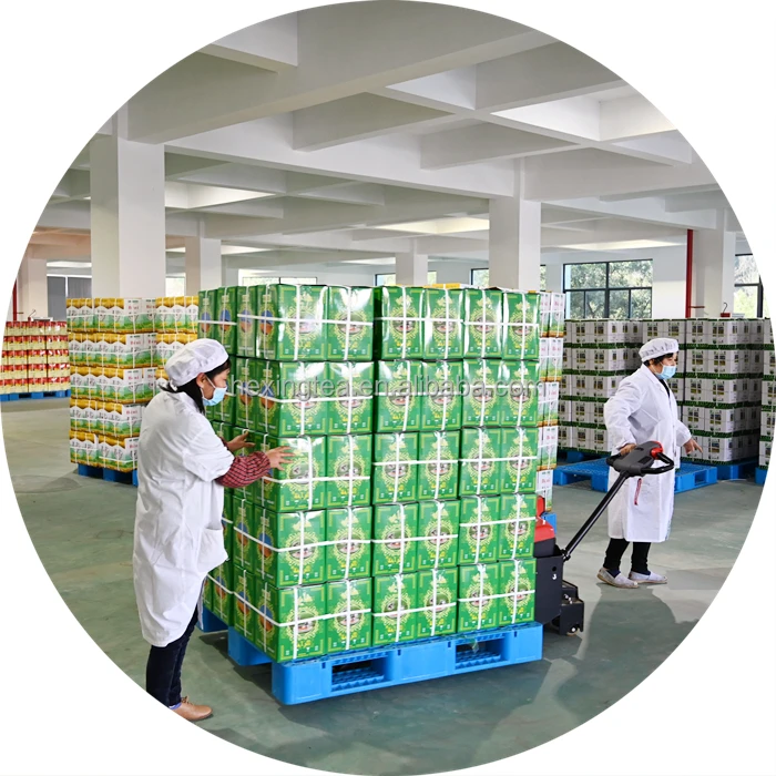 China 41022 AAAA Te 41022AAA Flecha Quality Extra Chunmee Quality Chunme El Marwan 25g Extract Leaves Chinese Green Tea