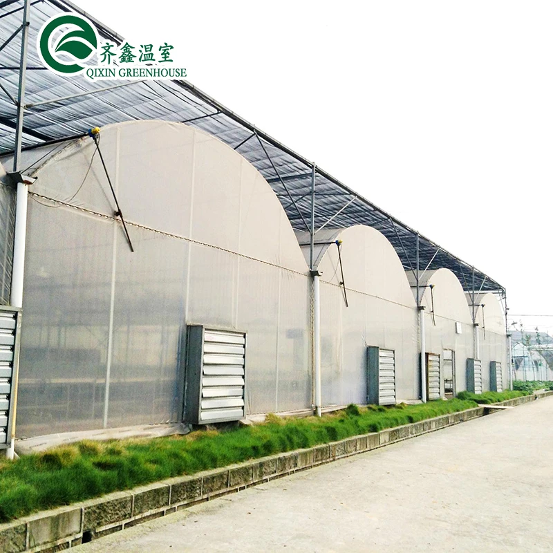grow tomato equipment vegetables irrigation & hydroponics greenhouse