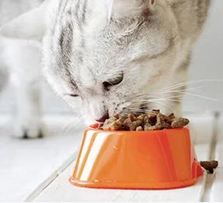 Hot selling fresh catnip toy cat catnip in plastic bottles