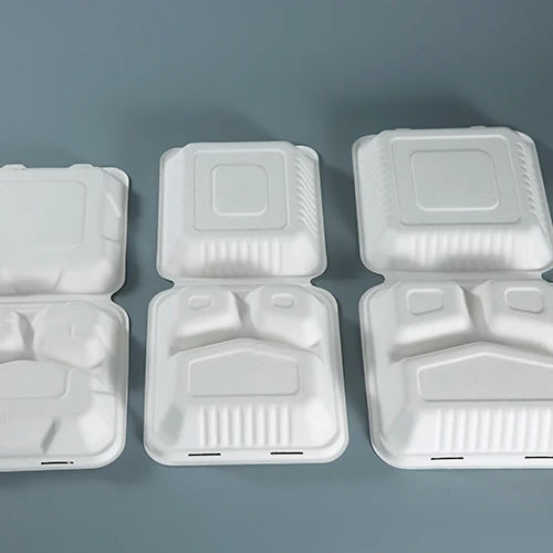 Kingwin Eco-friendly compostable disposable clamshell sugarcane food container bagasse with compartment