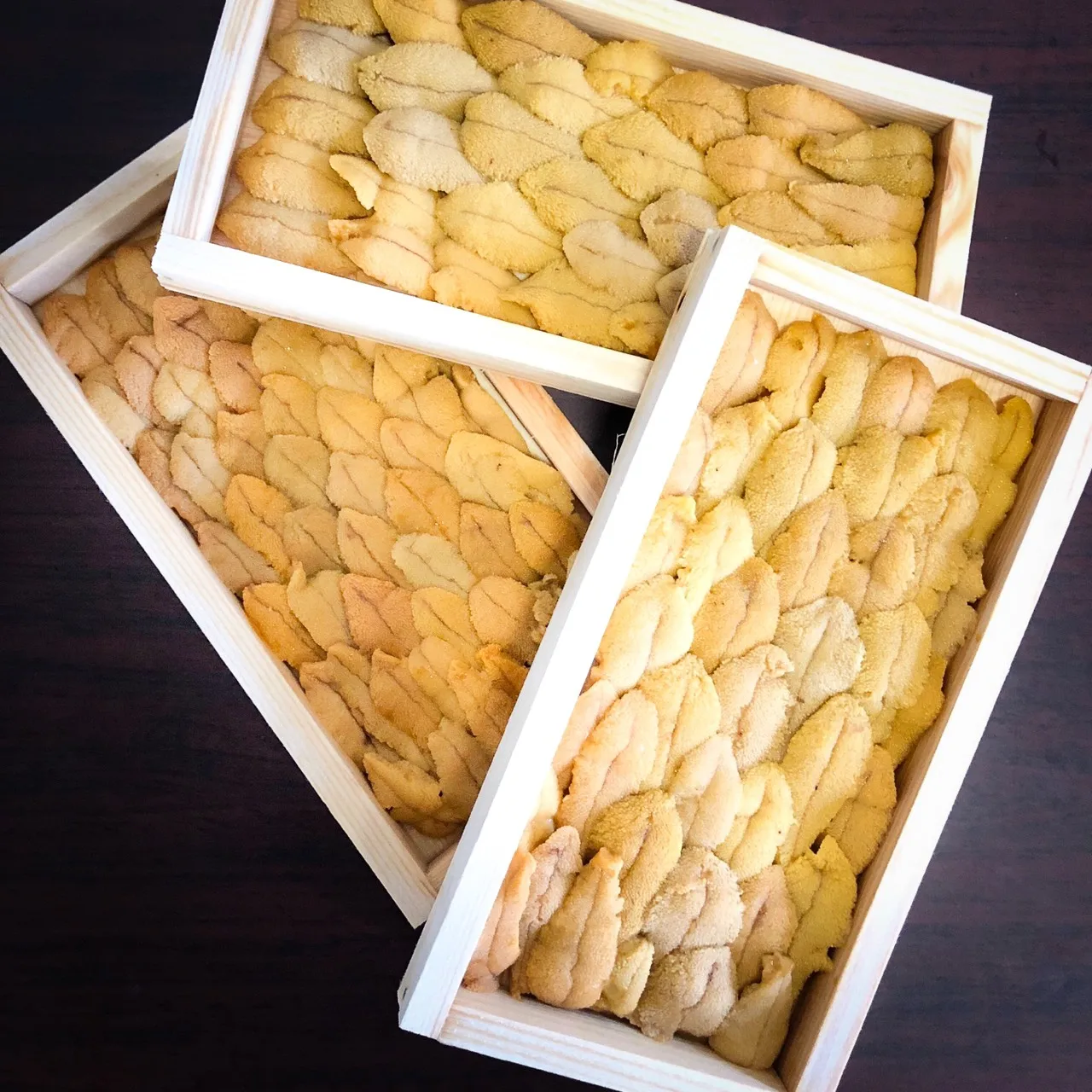 
Japan processed wholesale vacuum just-caught red fresh sea urchin 