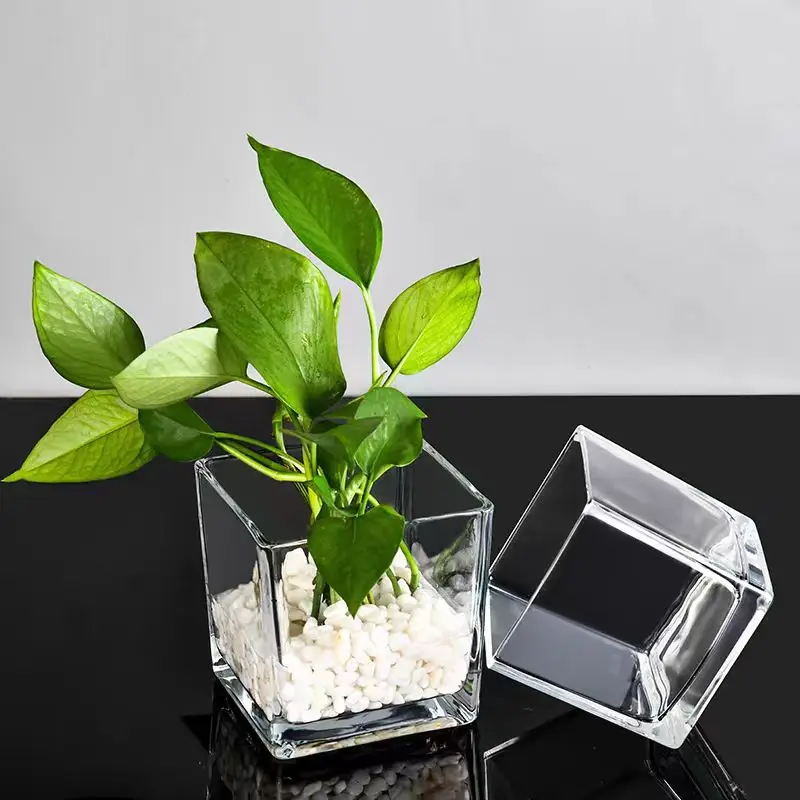 Wholesale Modern Machine Made Wide Mouth Square Cube Transparent Plant Fish Glass Flower Vases