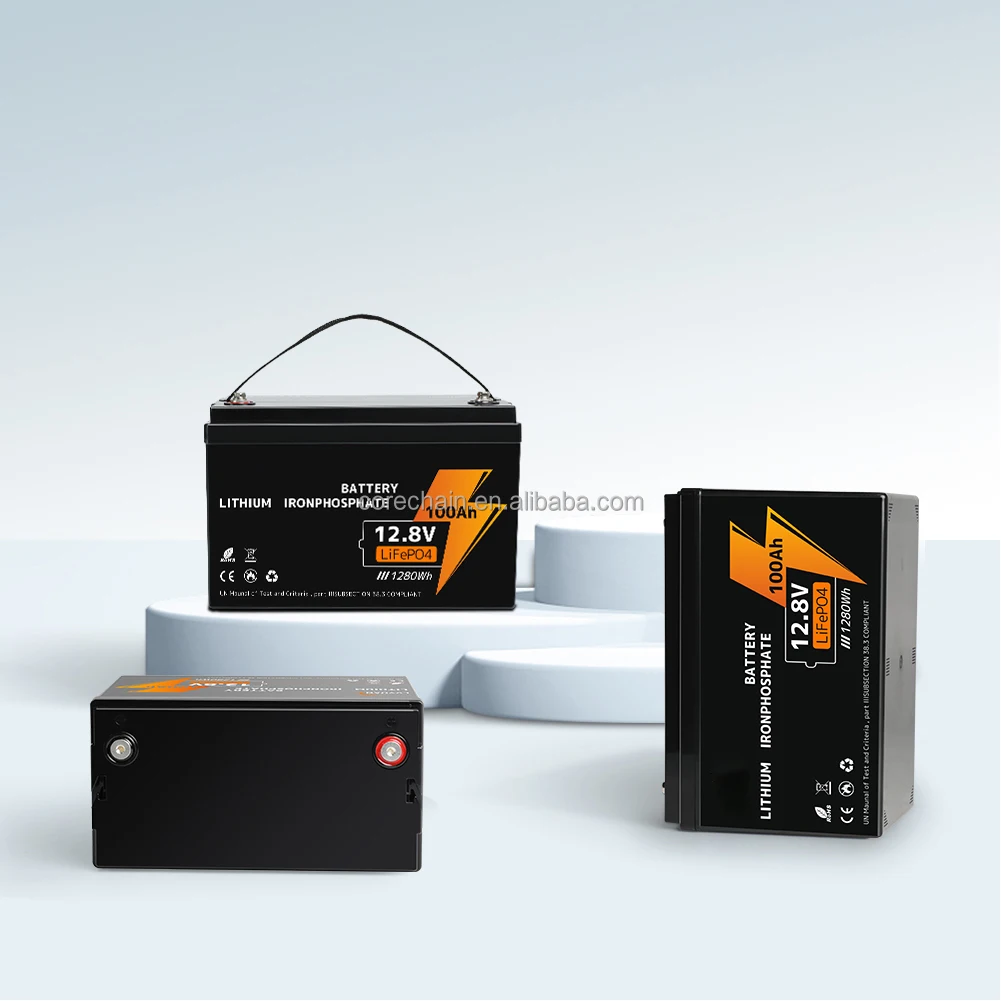 12V 100Ah LiFePO4 Lithium Battery With BMS 10 Year Lifespan Portable Battery For UPS Power Wheels RV Solar Panel Battery