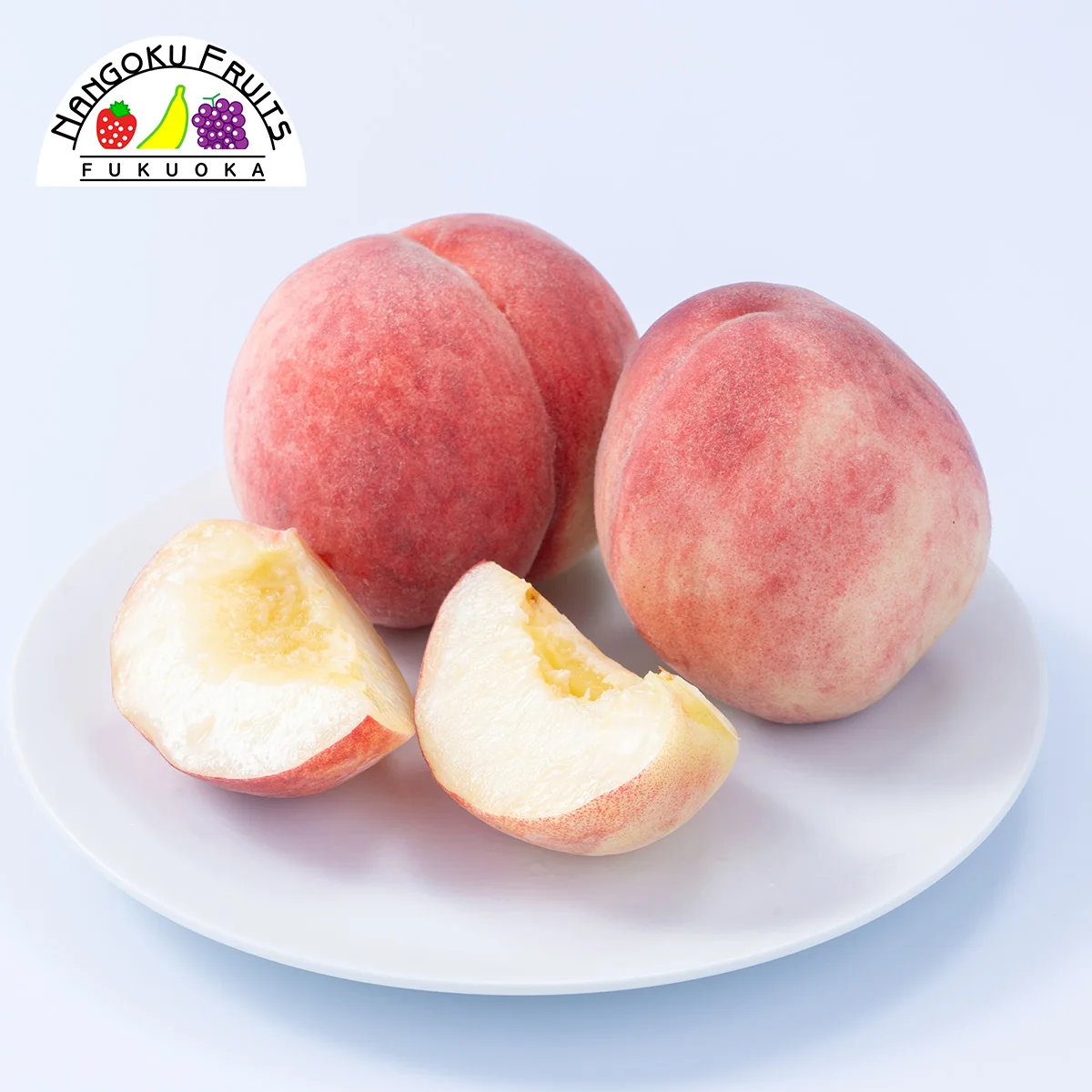 Japanese wholesale fruit processing plant fresh peaches for export