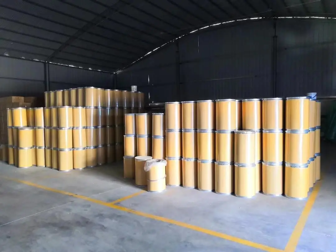 Wholesale High Quality Food Grade Probiotics Bacillus Licheniformis Powder