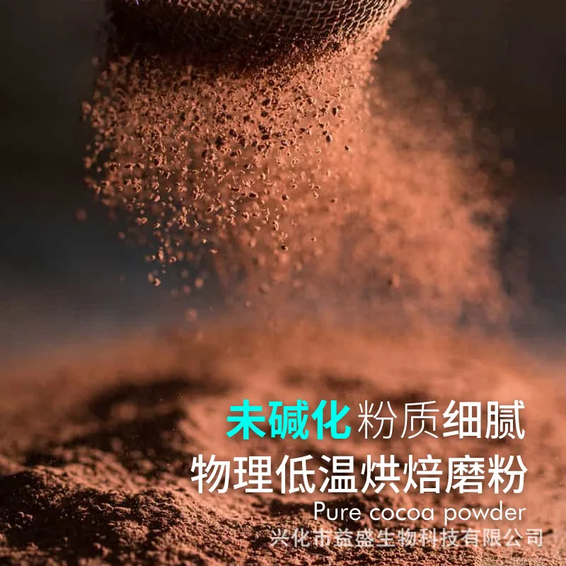 Food grade Ecuador raw cocoa powder natural cocoa flakes flour for sale