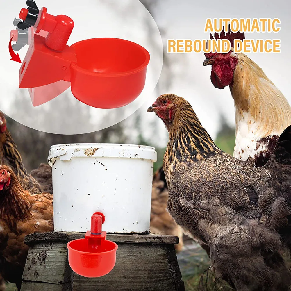 Набор из 6 автоматических чашек для воды цыплят чаша питья поилка пластиковый практичный держатель курицы