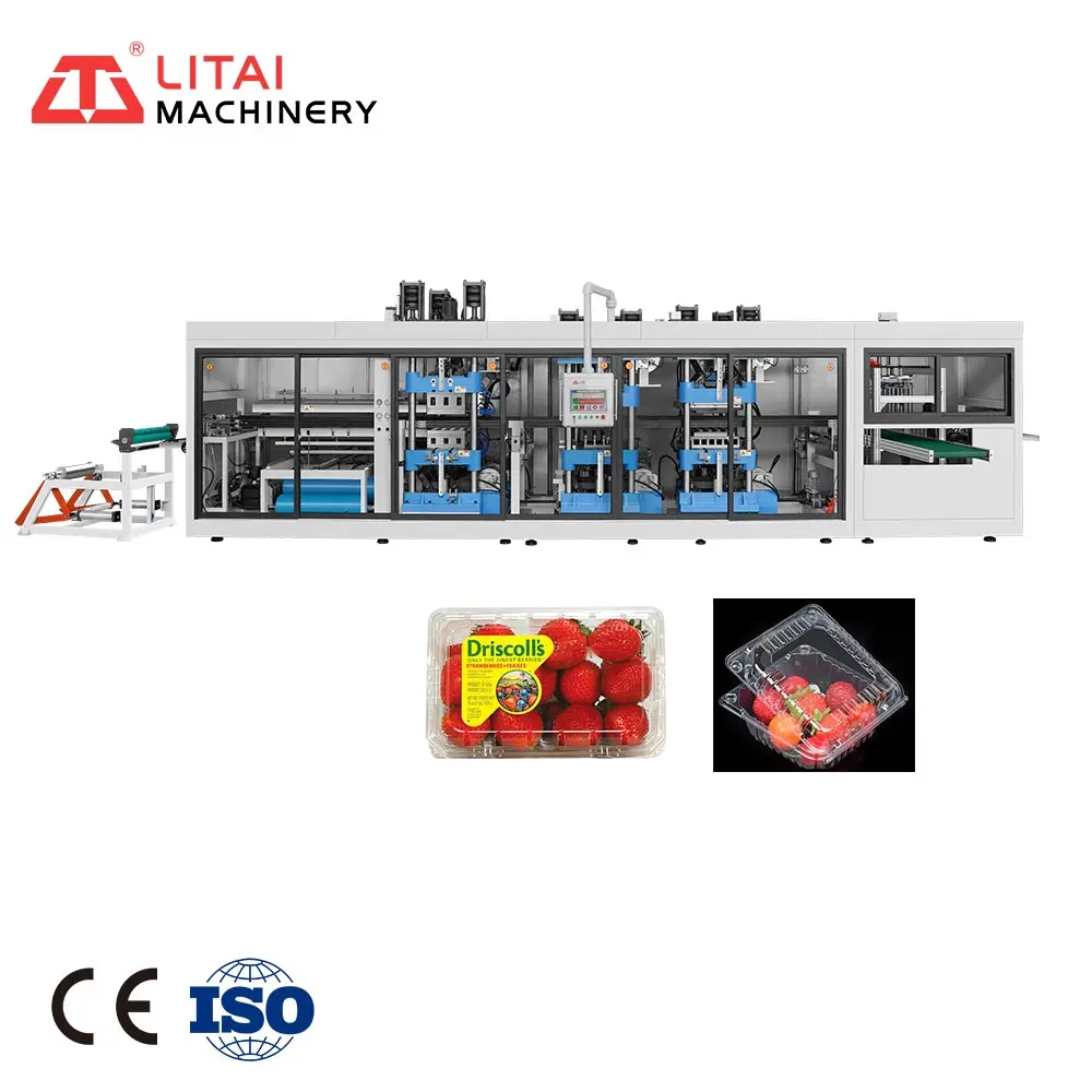 New Custom made Fully Automatic Fast Speed PP Sheet Manual Servo Drive System Thermoforming Machine China