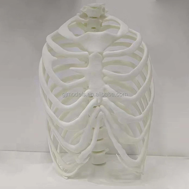 custom precision sla technology processing industrial 3d custom resin prototyping and manufacturing service from gaojie-model