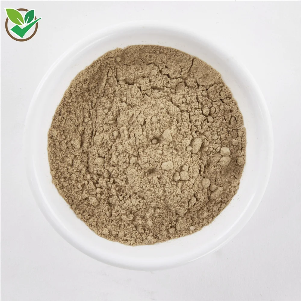 
Wholesale Pure Selenium Enriched Oyster Mushroom Powder Mushroom Extract Powder Oyster Mushroom Powder 