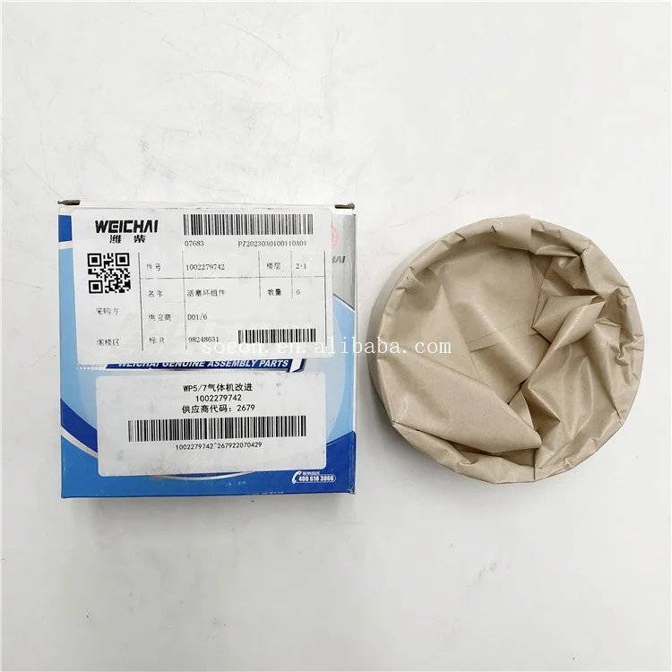 Hot Selling Original Piston Ring 1002279742 For Weichai Engine