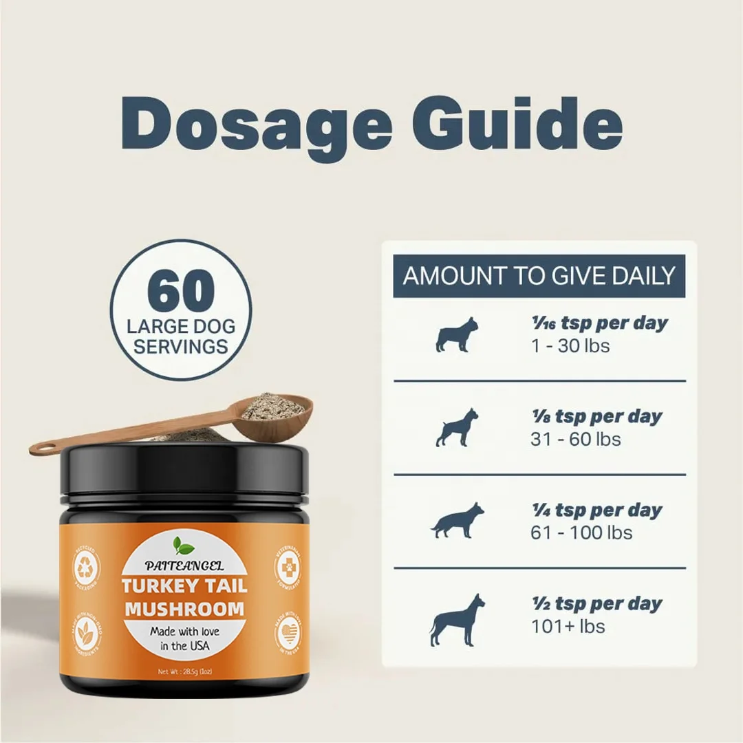 Vet Formulated Rich in Beta-Glucans Turkey Tail Mushroom Extract  Dogs Critical Immune Support Prebiotic Powder