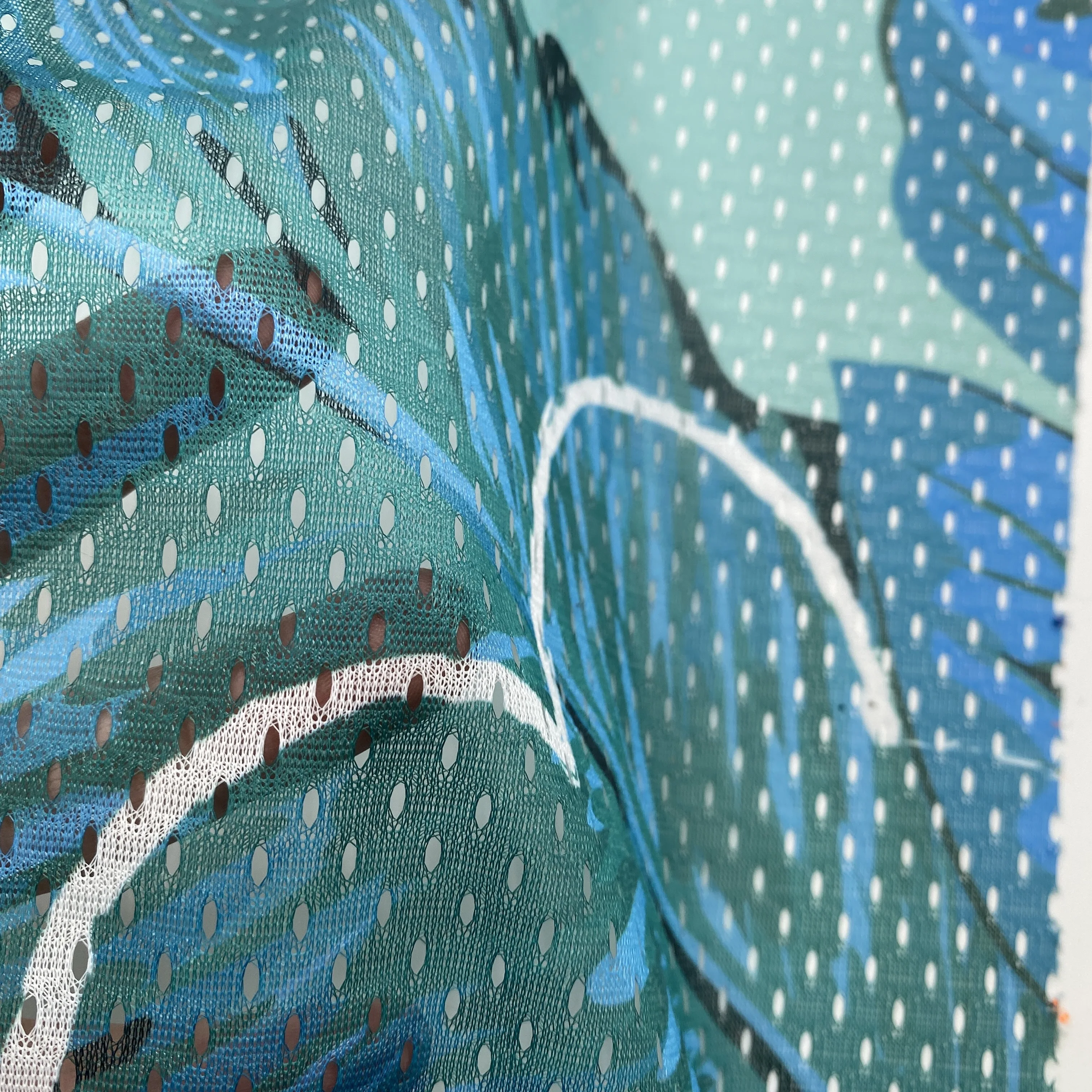 100% polyester 11*1 printing knitted warp mesh fabric for laundry bag net cloth lining sportswear and suit clothing interlining