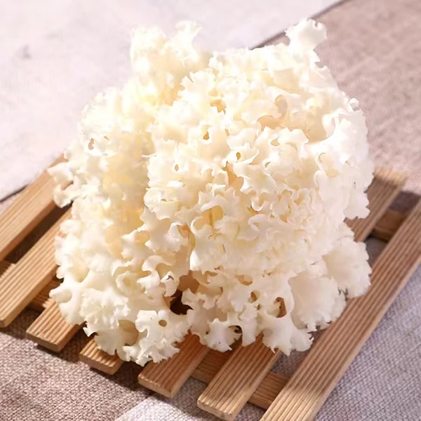 China Cauliflower Identical soup mushrooms fresh cauliflower