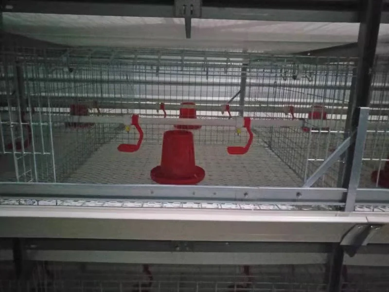 Pengda popular chicken egg layer Chinese battery for tanzania poultry farm