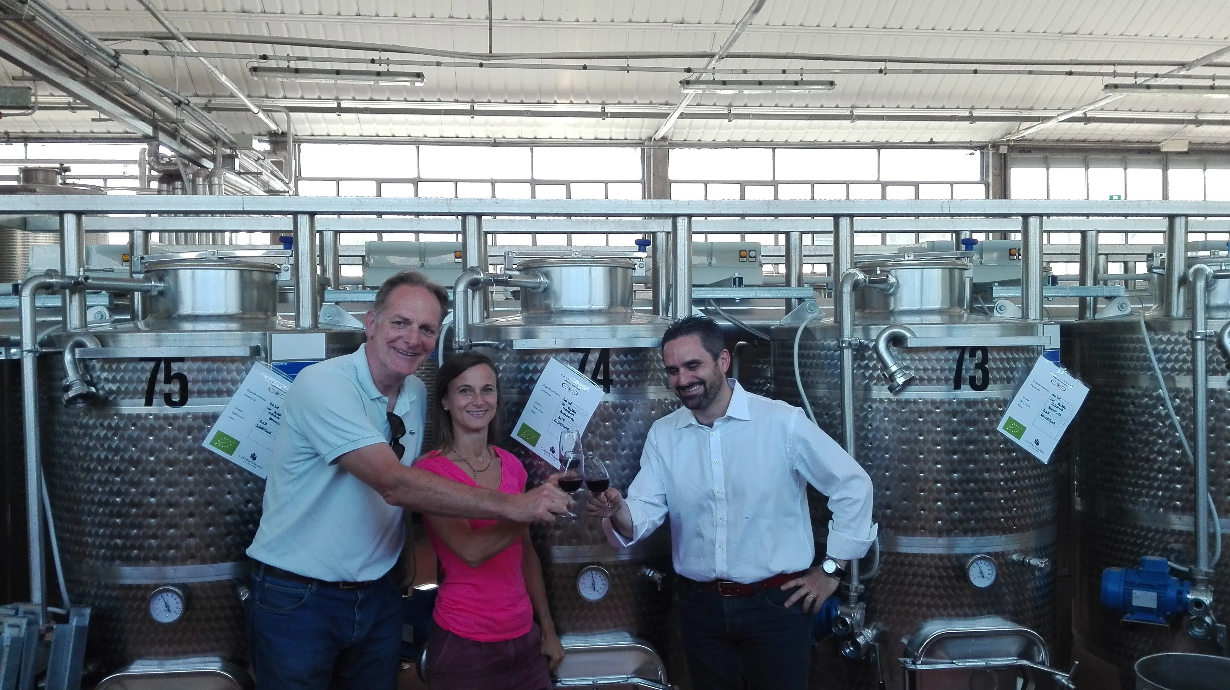 Высококачественный органический напиток Pinot Grigio Doc оранжевый