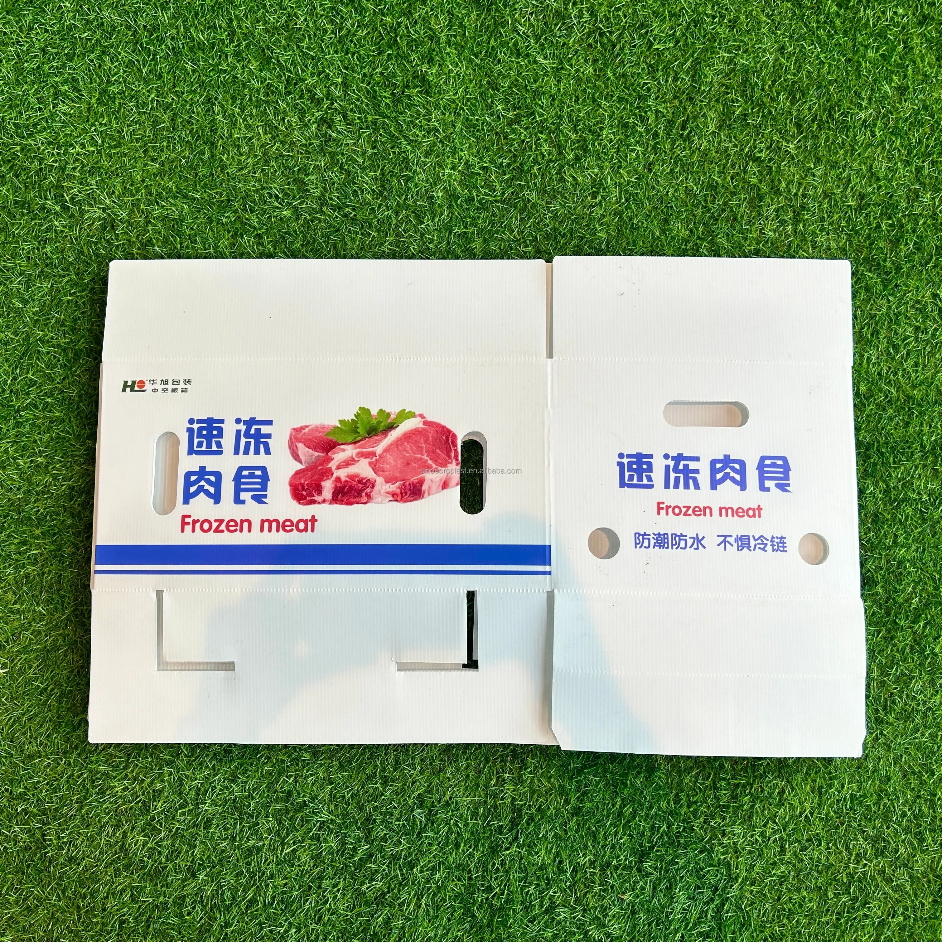 Pp Corrugated Plastic Correx Ginger Box Plastic Asparagus Box Corrugated Plastic Fruit And Vegetable Box