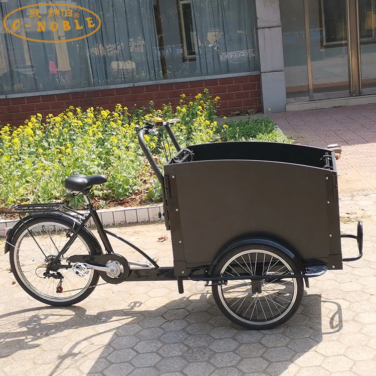 
Steel frame electric bike wooden box for carry kids tricycle for adults electric truck trike 