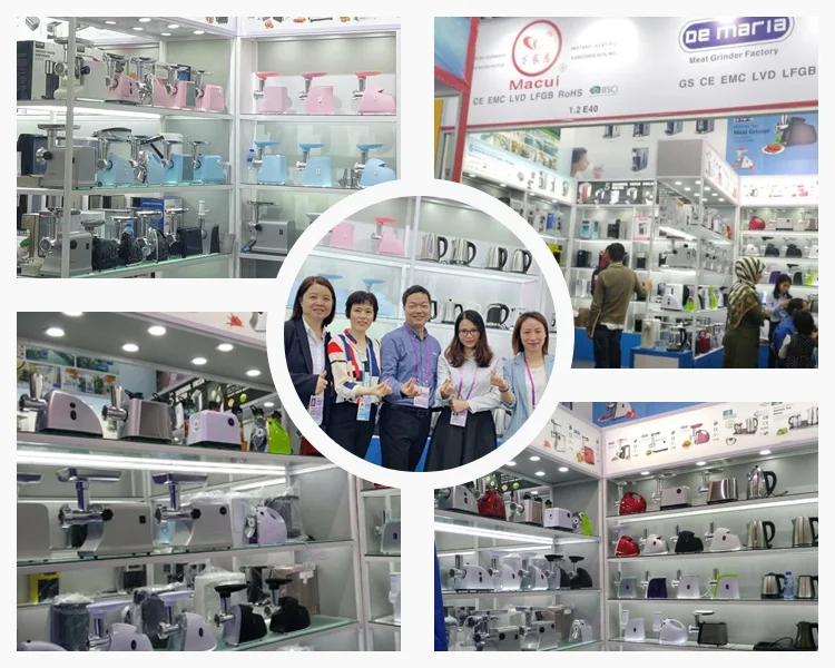 Newly Developed Vegetable cutter fruit & vegetable processador de alimentos  kitchen tool DC motor electric salad maker