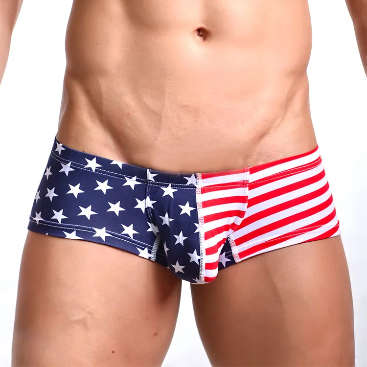 
America Mens Shorts Boxer Briefs Underwear Men Ethika Underwear 