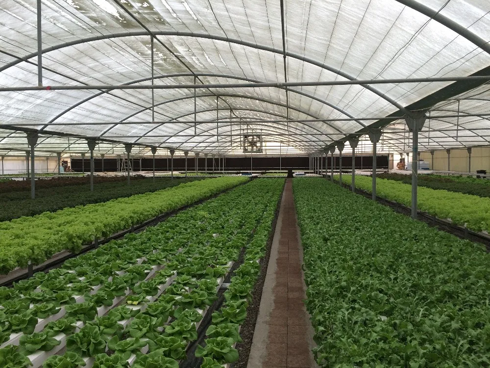 Farm Hydroponic Growing System Hydroponic systems UPVC NFT Channel for Agriculture Greenhouse raised fabric bed