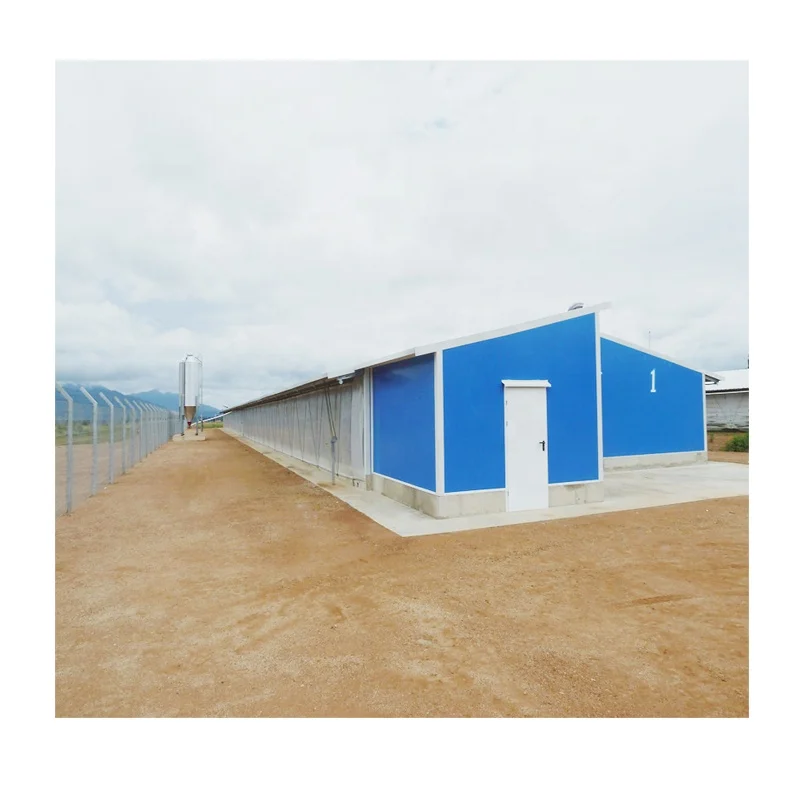 Полностью автоматическое оборудование, быстрая установка, легкий стальной металлический недорогой портальный каркас, курятник