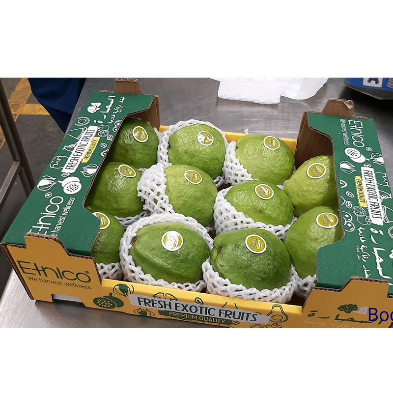  Овальная форма без ГМО Сертифицированный свежий Feijoa Guavasteen фрукты от поставщика