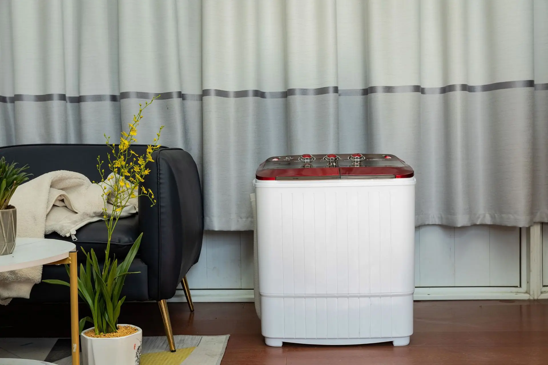 Double drum double cylinder semi-automatic household dehydrating stainless steel  other washing machine washing machine mini