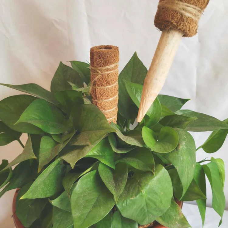 1/2/4 PK Coir Totem Pole with Plant Labels or Twist Tie Garden Tape Roll Plant Protect Trap Coir Moss Totem Pole/Stick