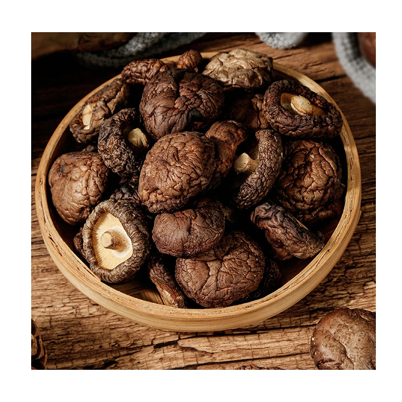 Air Dried Organic Vegetable Export Dry Oyster shitake Black Fungus Mushroom 100% origin dried oyster mushroom wholesale price