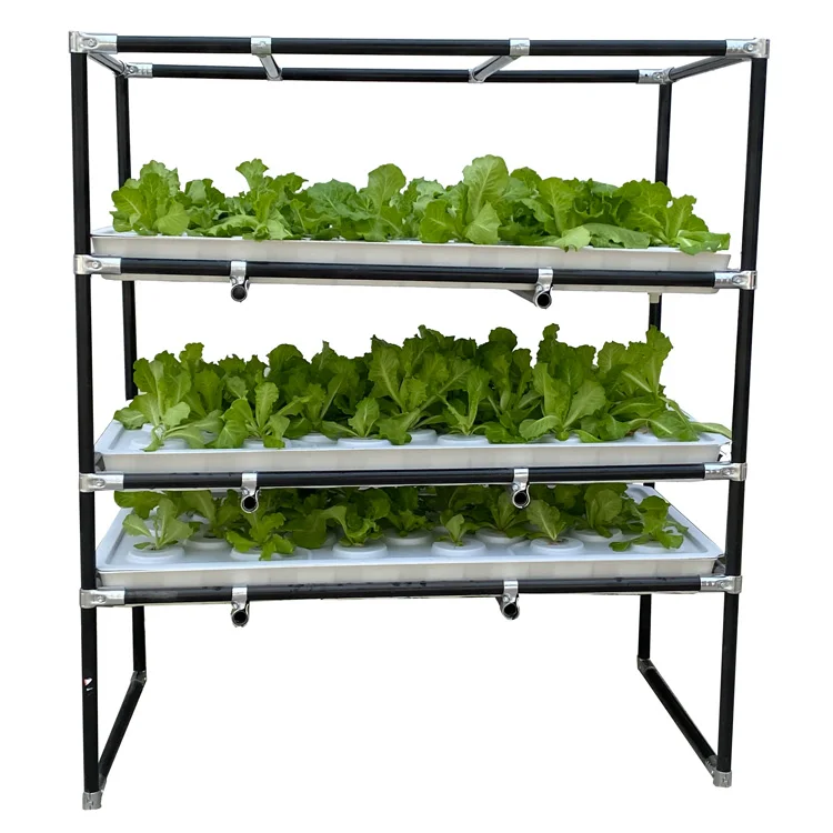 organic indoor farming microgreens diy hydroponic vegetable growing rack with led grow lights